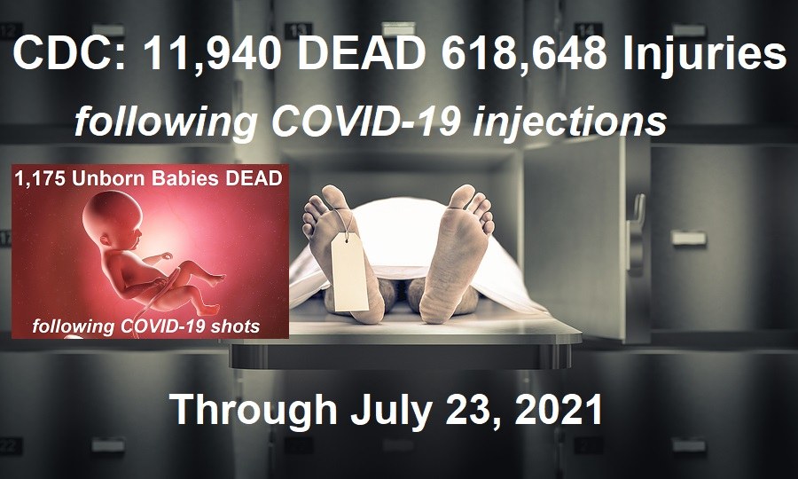 CDC: 11,940 DEAD 618,648 Injuries and 1,175 Unborn Babies DEAD Following COVID-19 Shots