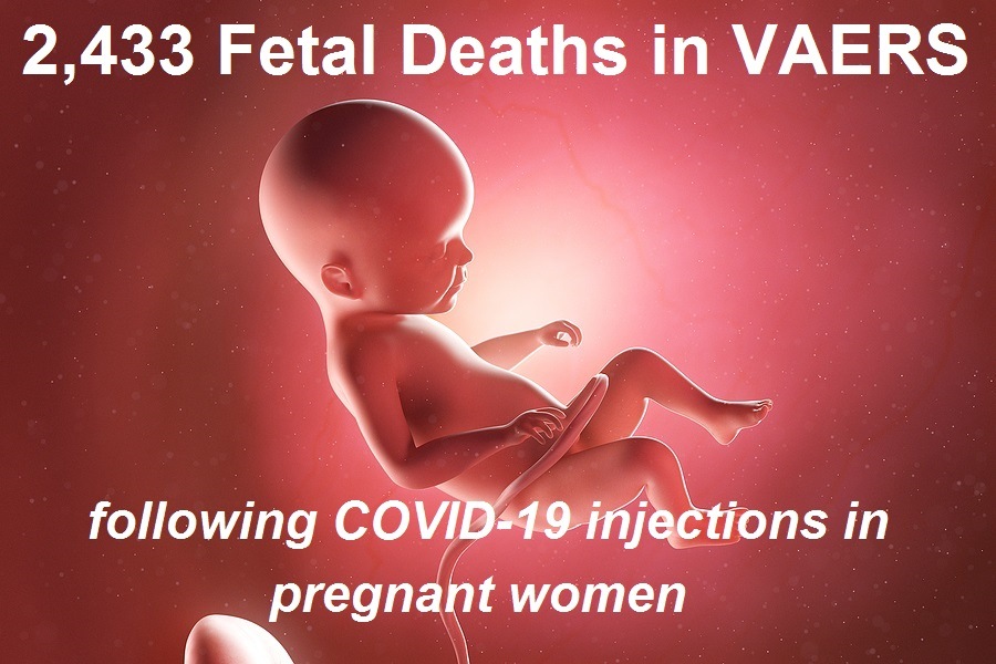 2,433 Dead Babies in VAERS as Another Study Shows mRNA Shots Not Safe for Pregnant Women