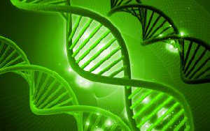 Hemp Repairs DNA!