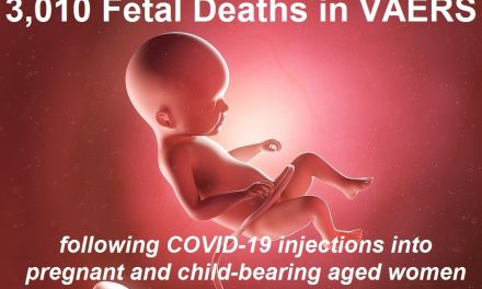 Christmas 2021: 3010 Dead Babies 14,639 Cases of Heart Disease After 1 Year of Experimental COVID-19 Shots