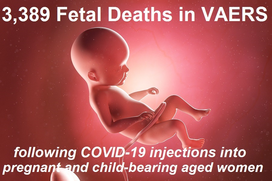 GENOCIDE! Military Medical Whistleblowers Reveal Miscarriages, Birth Defects, and Infertility Rates Exploded in 2021 Following COVID Vaccines