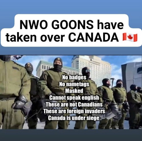UN Plane In North Bay Canada | Are UN Troops In Disguise as Canadian Police At The Ottawa Protest?