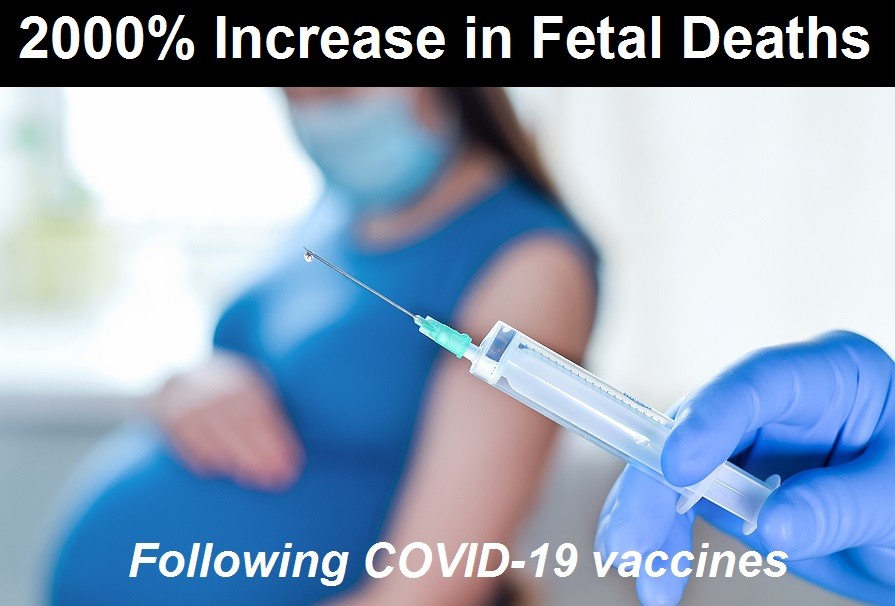 2000% Increase in Fetal Deaths Following COVID-19 Vaccines but CDC Still Recommends Them for Pregnant Women