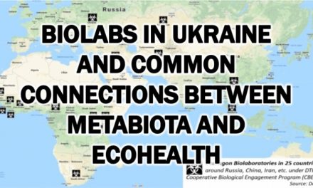 Biolabs in Ukraine: Who are Metabiota’s investors?
