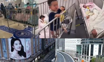 Protests, Looting, Pets Destroyed and Mass Suicides in Shanghai China as People Starve During Lockdowns