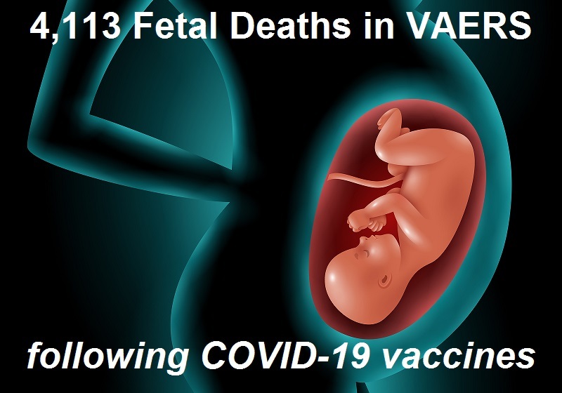 4,113 Fetal Deaths in VAERS Following COVID-19 Vaccines Not Including Those Murdered Alive to Develop the Vaccines