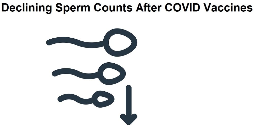 More Evidence of Population Reduction Effects of COVID Vaccines as Study Shows Decreased Sperm Counts in Men Following Vaccination