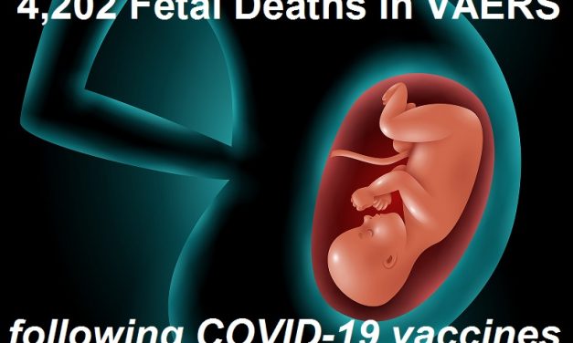 FDA had Data Showing 82% – 97% of Pregnant Women Injected with the Pfizer COVID-19 Vaccine Lost Their Babies Before Approving the Shots