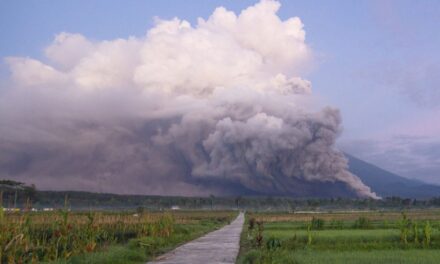Indonesia raises alert after Mount Semeru volcano erupts